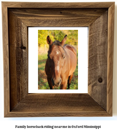 family horseback riding near me in Oxford, Mississippi